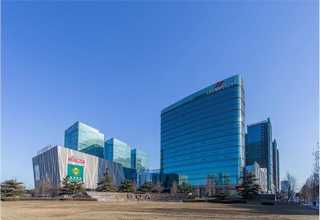 内蒙古3N/4N高纯度高纯氧化铝CAS-1344-28-1