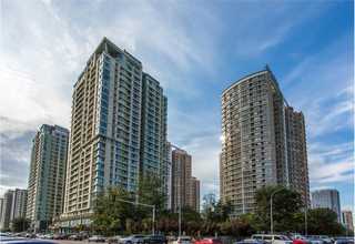 湖州常用奖牌植绒内衬批发